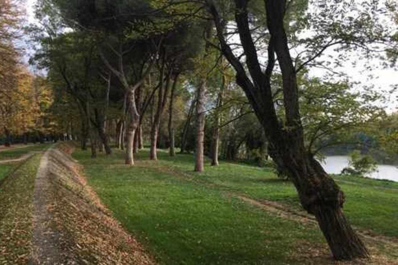 Pisa Appartamento Bonaini Exterior foto